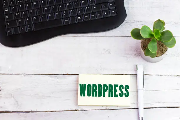 WordPress & Shopify